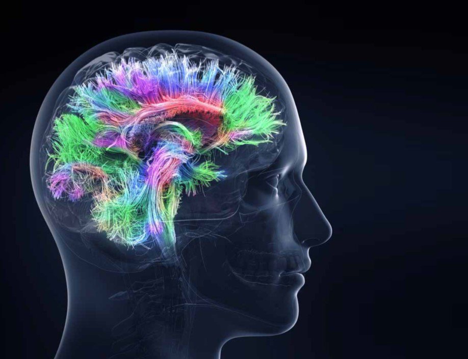 Neuro